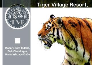 Tiger-Village-Resort -Tadoba-Brouchre.pdf
