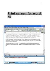 print screen for word XP.doc